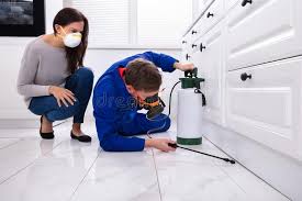 Best Indoor Pest Control  in Lady Lake, FL